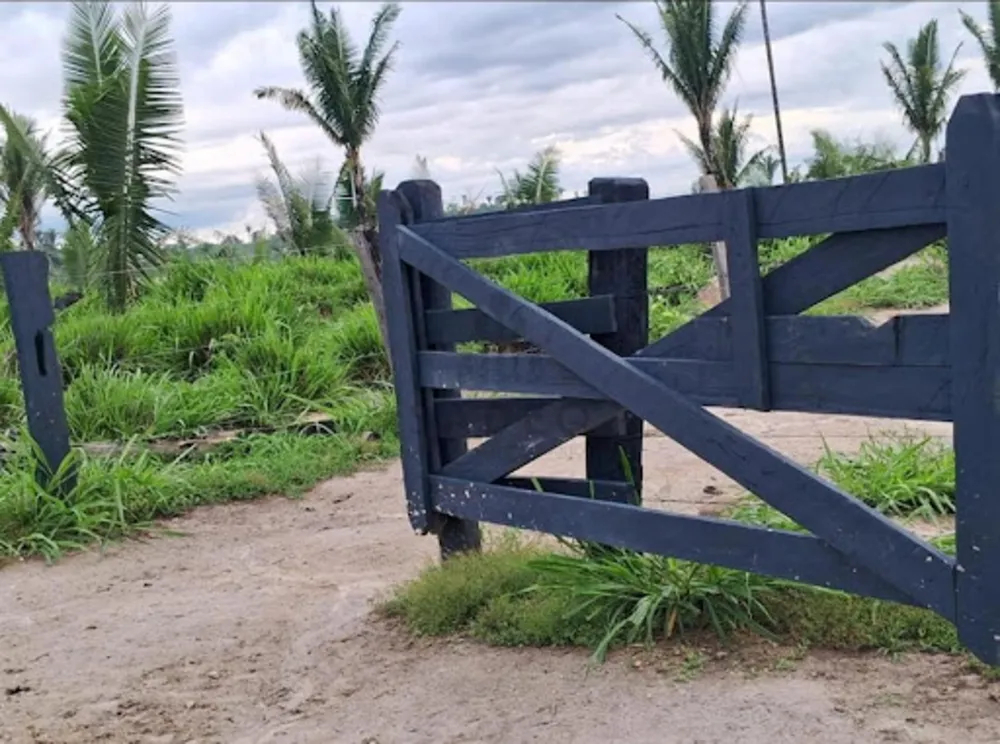 Fazenda - Foto 4