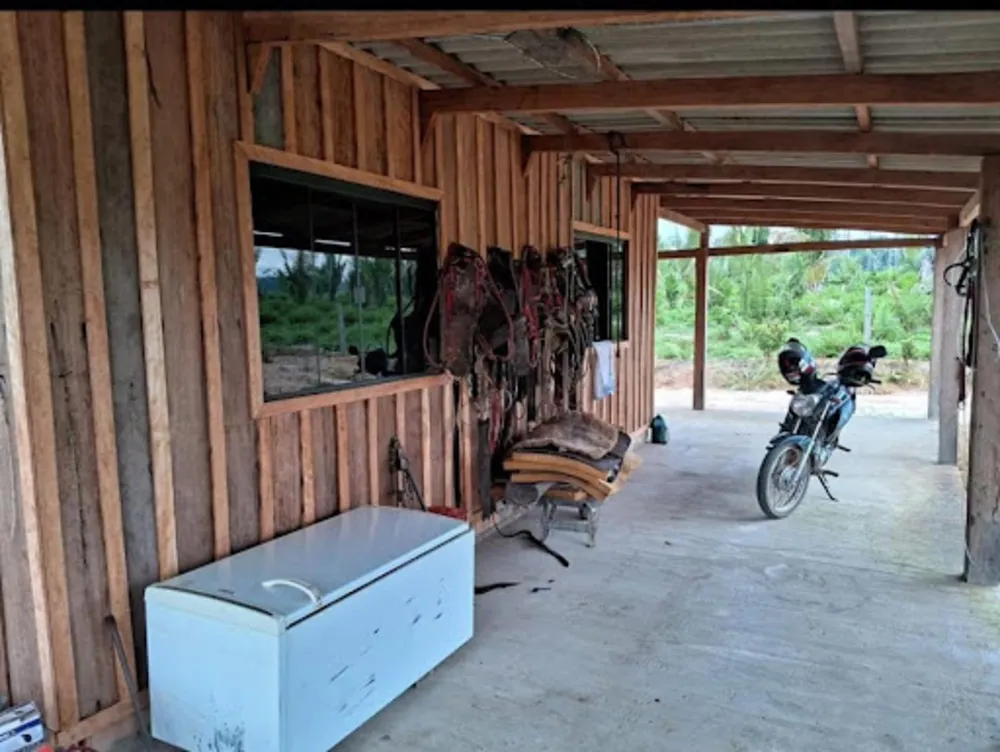 Fazenda - Foto 1