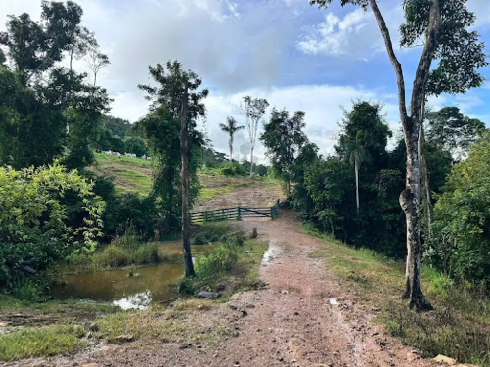 Fazenda - Foto 4