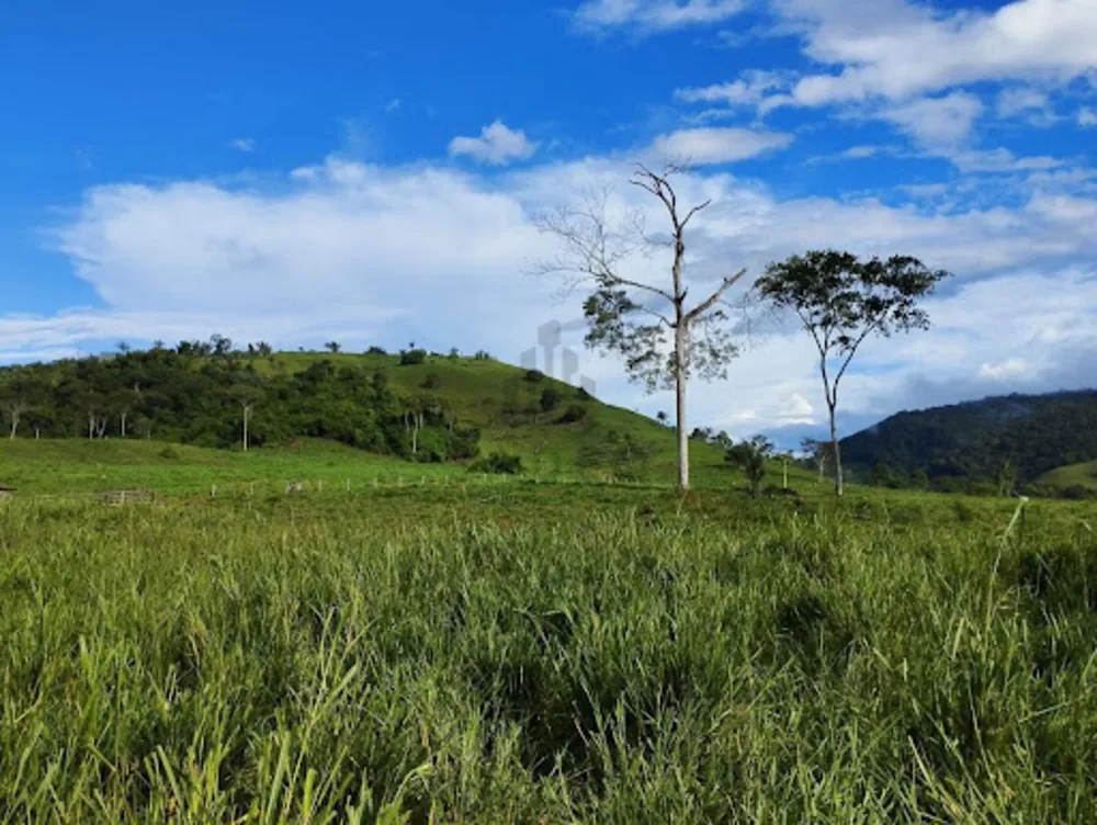 Fazenda - Foto 1