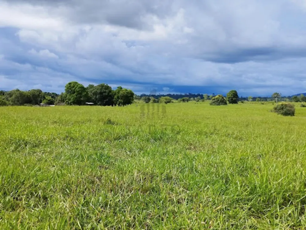 Fazenda - Foto 2