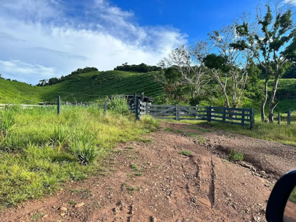 Fazenda - Foto 3