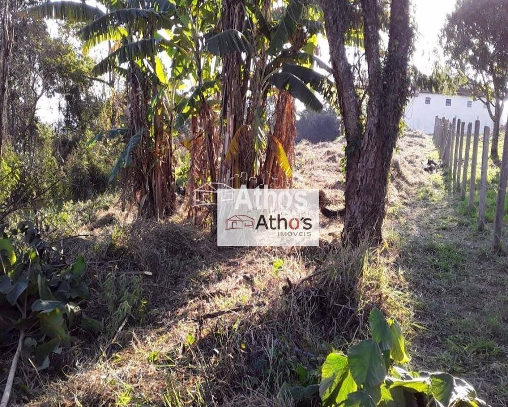 Terreno à venda, 700M2 - Foto 6