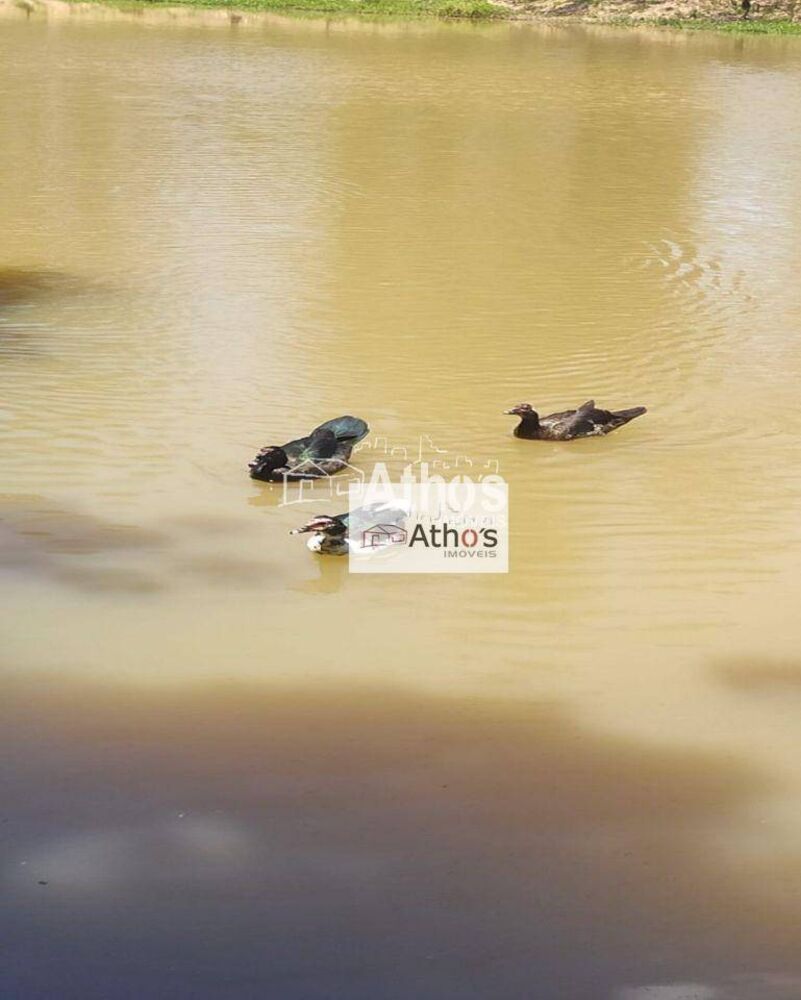 Loteamento e Condomínio, 373 m² - Foto 13