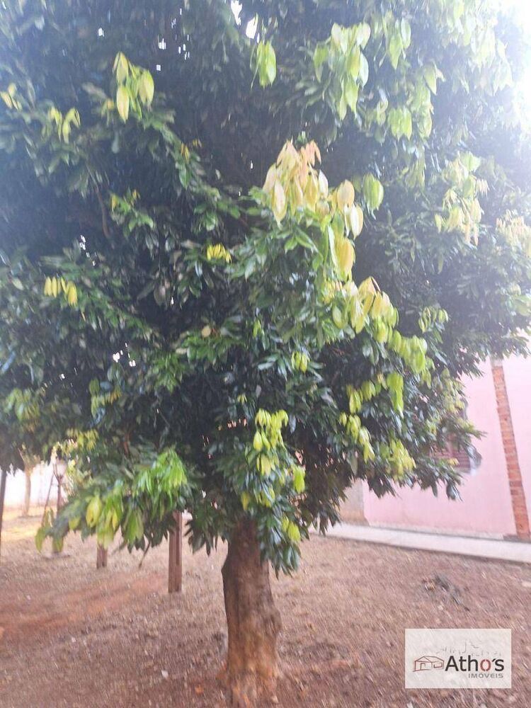 Terreno, 250 m² - Foto 4