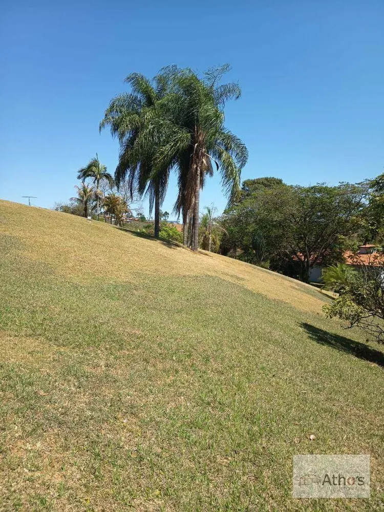 Chácara, 6 quartos, 4 hectares - Foto 5