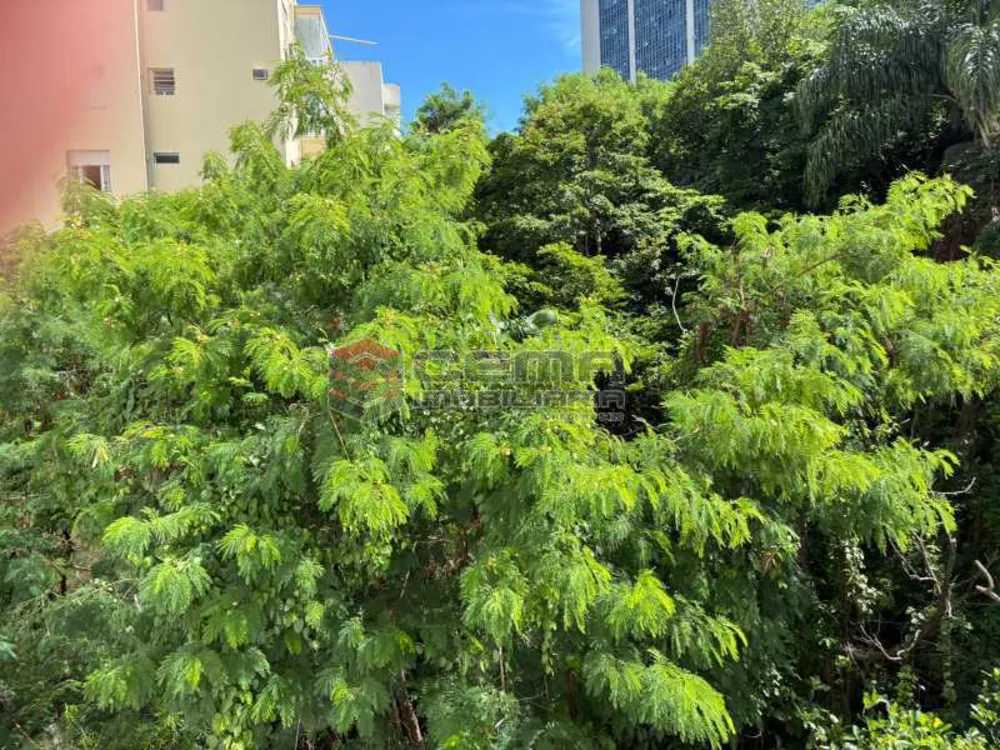 Apartamento, 4 quartos, 330 m² - Foto 14
