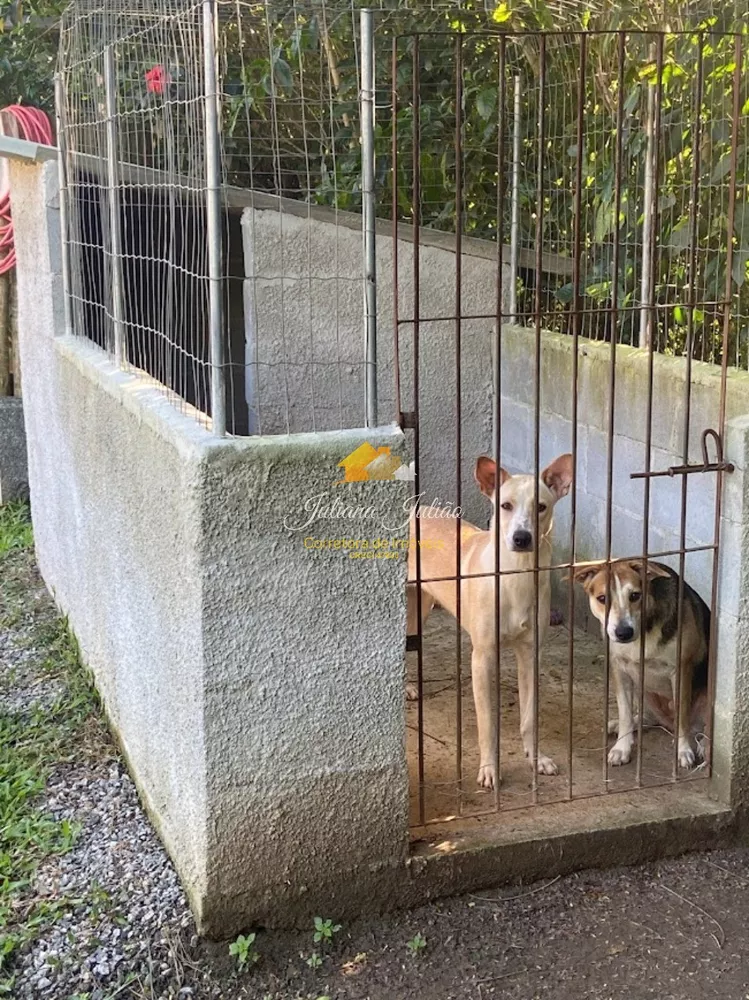 Chácara, 1 quarto - Foto 28