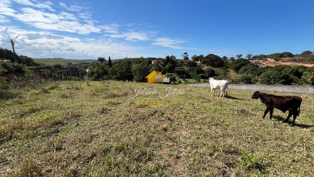Loteamento e Condomínio, 1 hectares - Foto 17