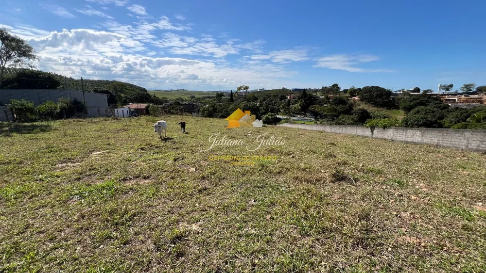 Loteamento e Condomínio, 1 hectares - Foto 11