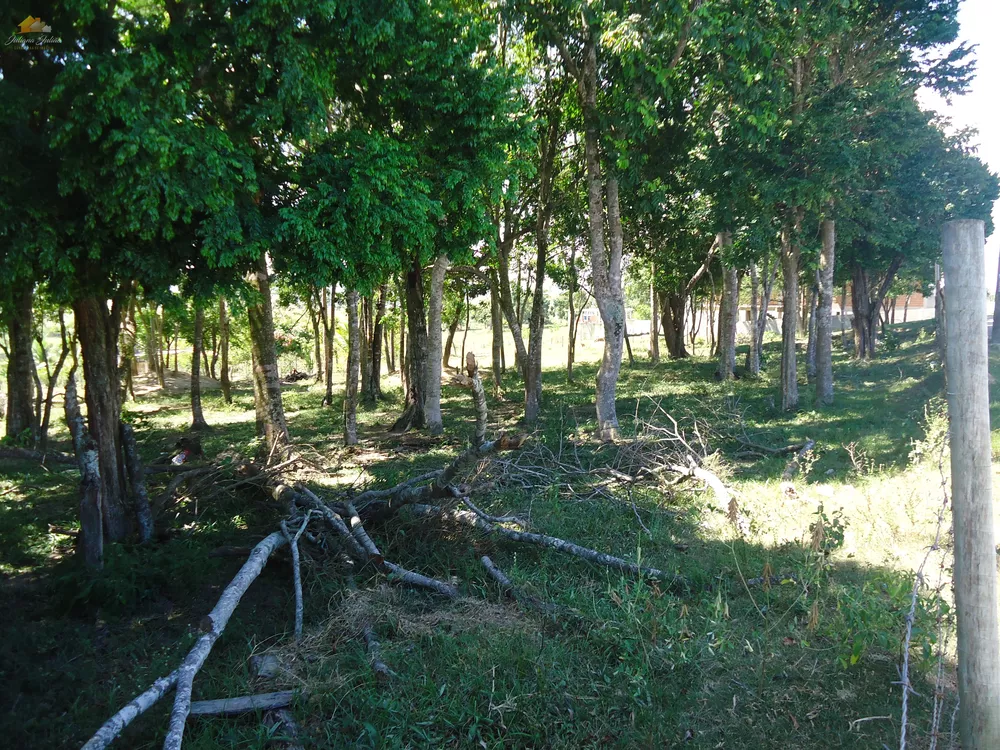 Terreno, 3 hectares - Foto 4