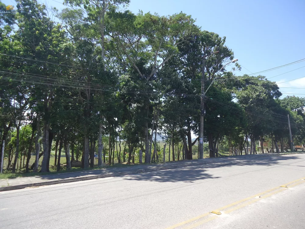 Terreno, 3 hectares - Foto 8