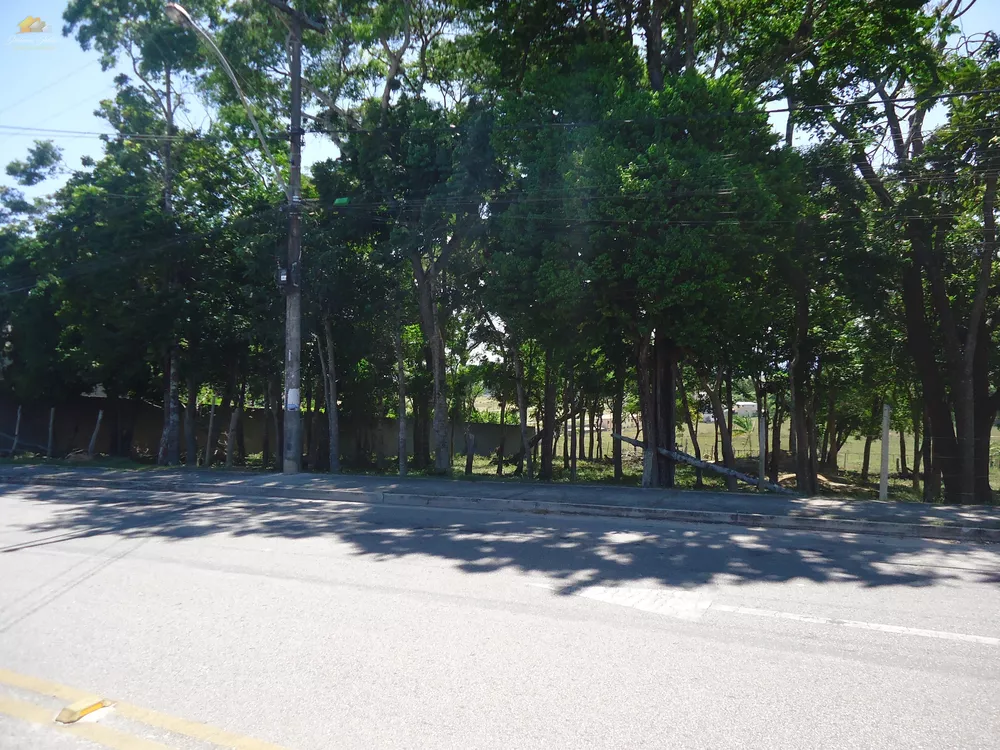 Terreno, 3 hectares - Foto 2