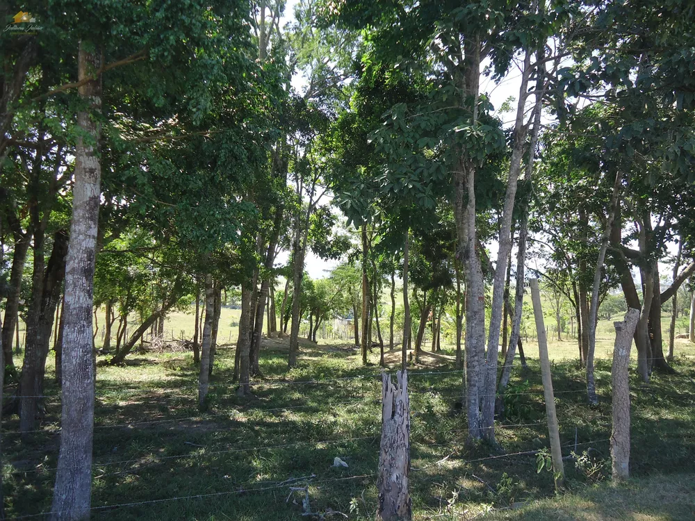 Terreno, 3 hectares - Foto 1