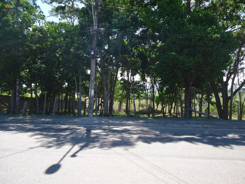 Terreno, 3 hectares - Foto 3