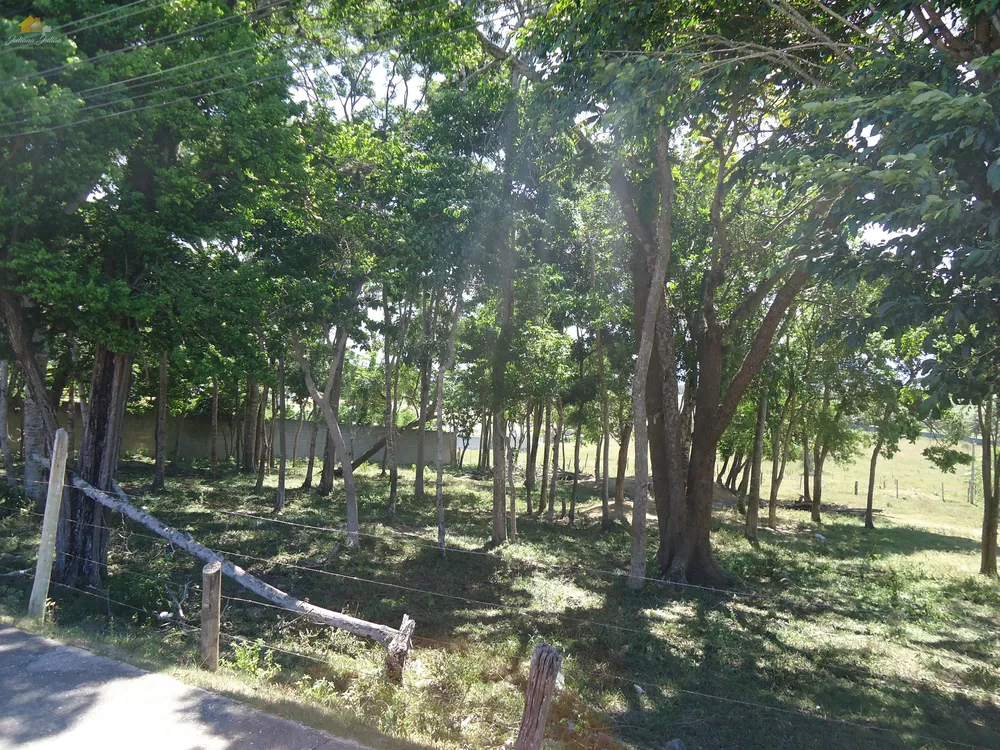 Terreno, 3 hectares - Foto 9