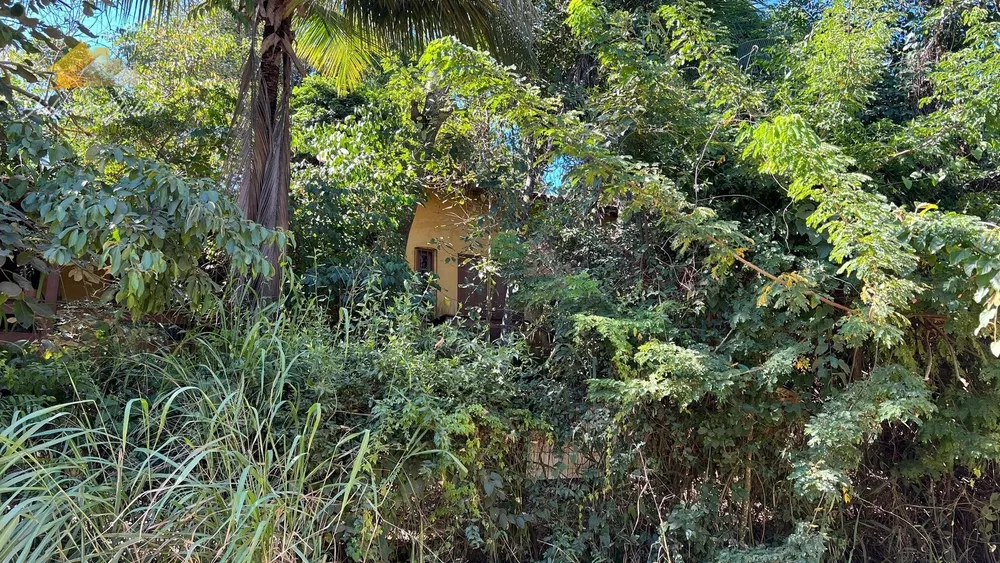 Terreno, 1584 m² - Foto 6