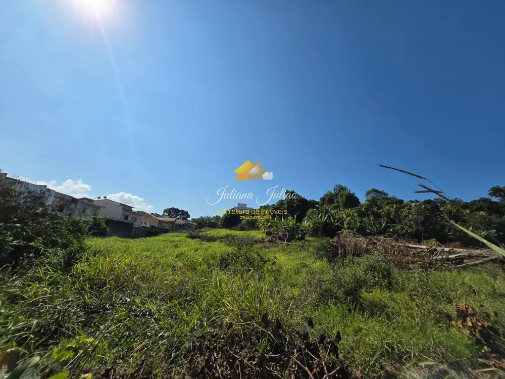 Terreno, 12000 m² - Foto 6