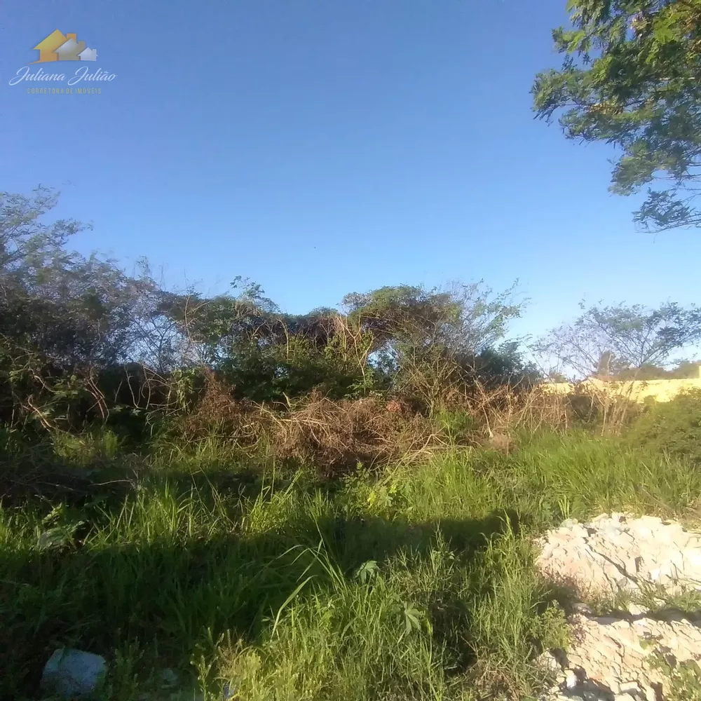 Terreno, 3854 m² - Foto 4