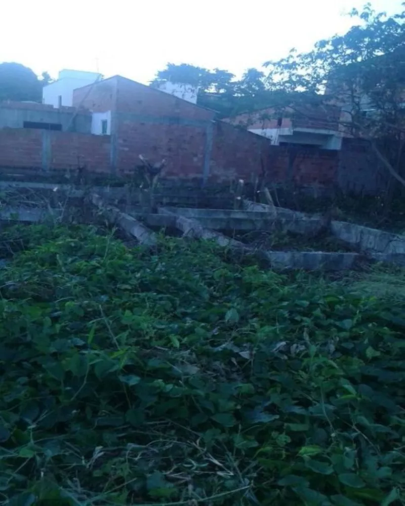 Terreno, 350 m² - Foto 6