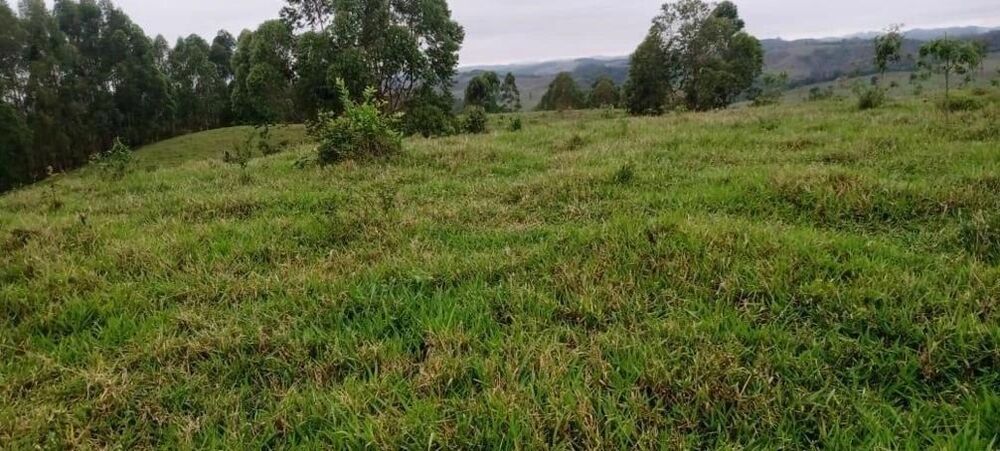 Fazenda, 111 m² - Foto 19