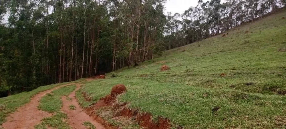 Fazenda, 111 m² - Foto 18