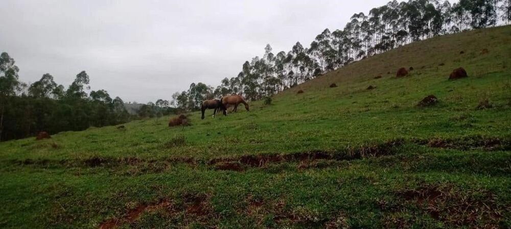 Fazenda, 111 m² - Foto 12