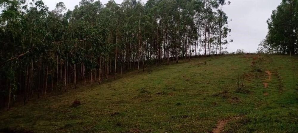 Fazenda, 111 m² - Foto 13