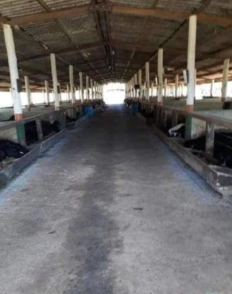 Fazenda, 300 m² - Foto 3