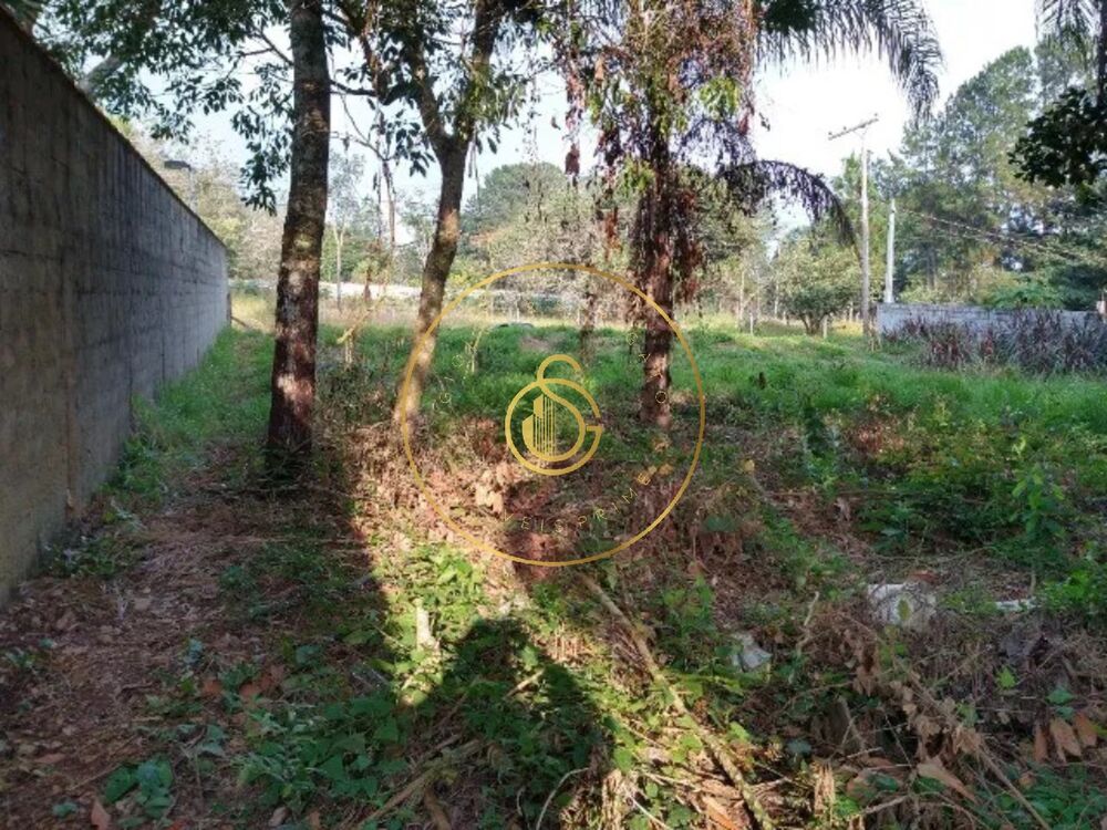 Terreno à venda, 420m² - Foto 4