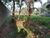 Terreno, 420 m² - Foto 4