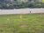 Terreno, 390 m² - Foto 2