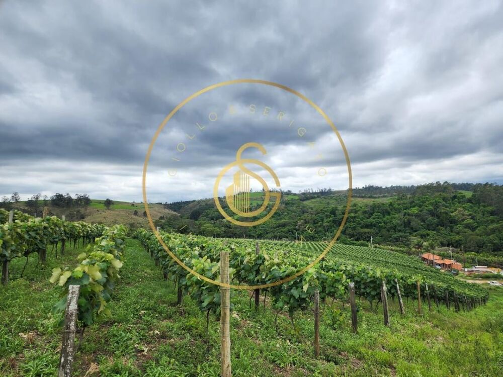 Sítio, 12 m² - Foto 6