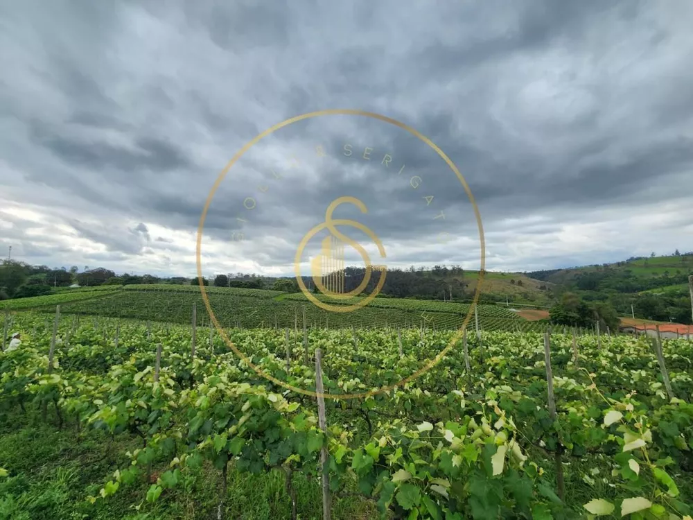 Sítio, 12 m² - Foto 2