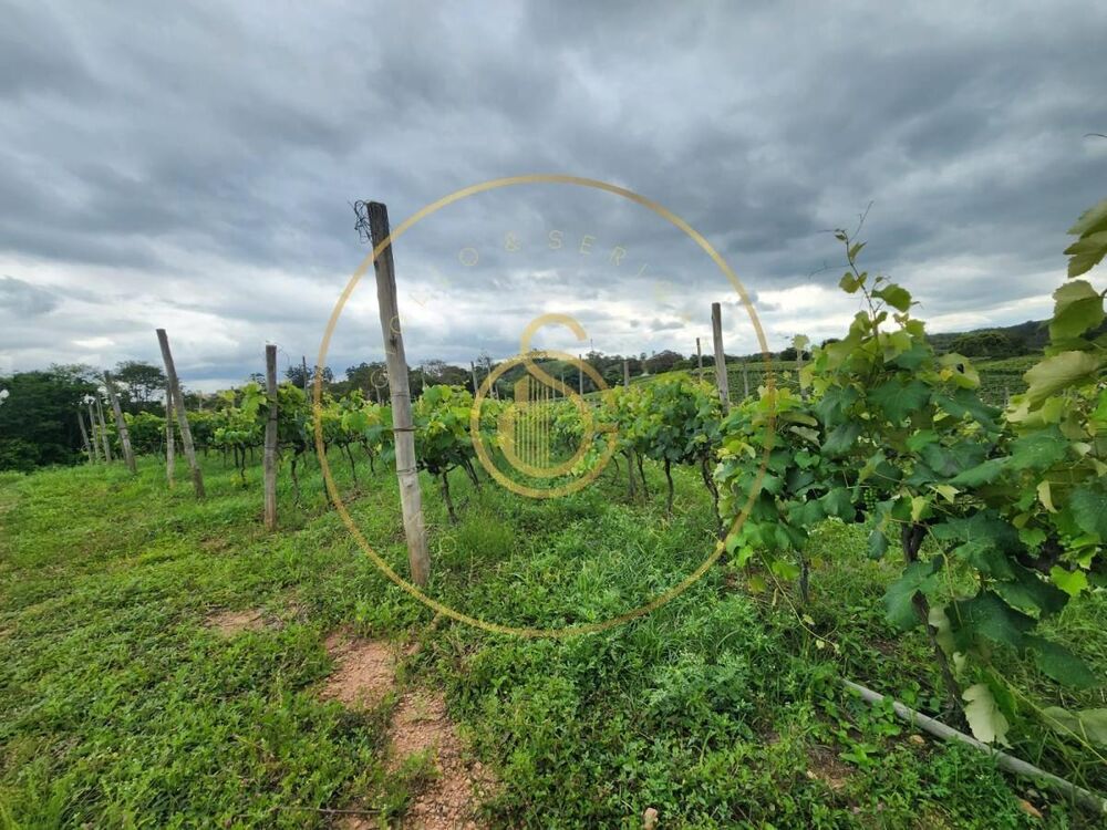 Sítio, 12 m² - Foto 3