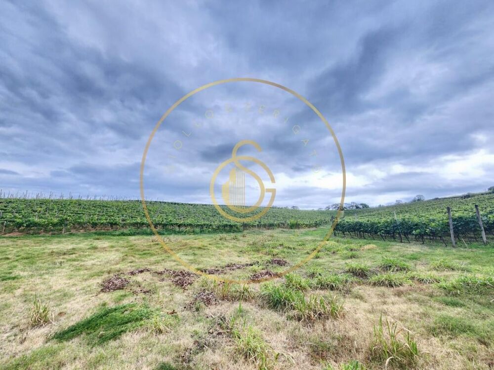 Sítio, 12 m² - Foto 5