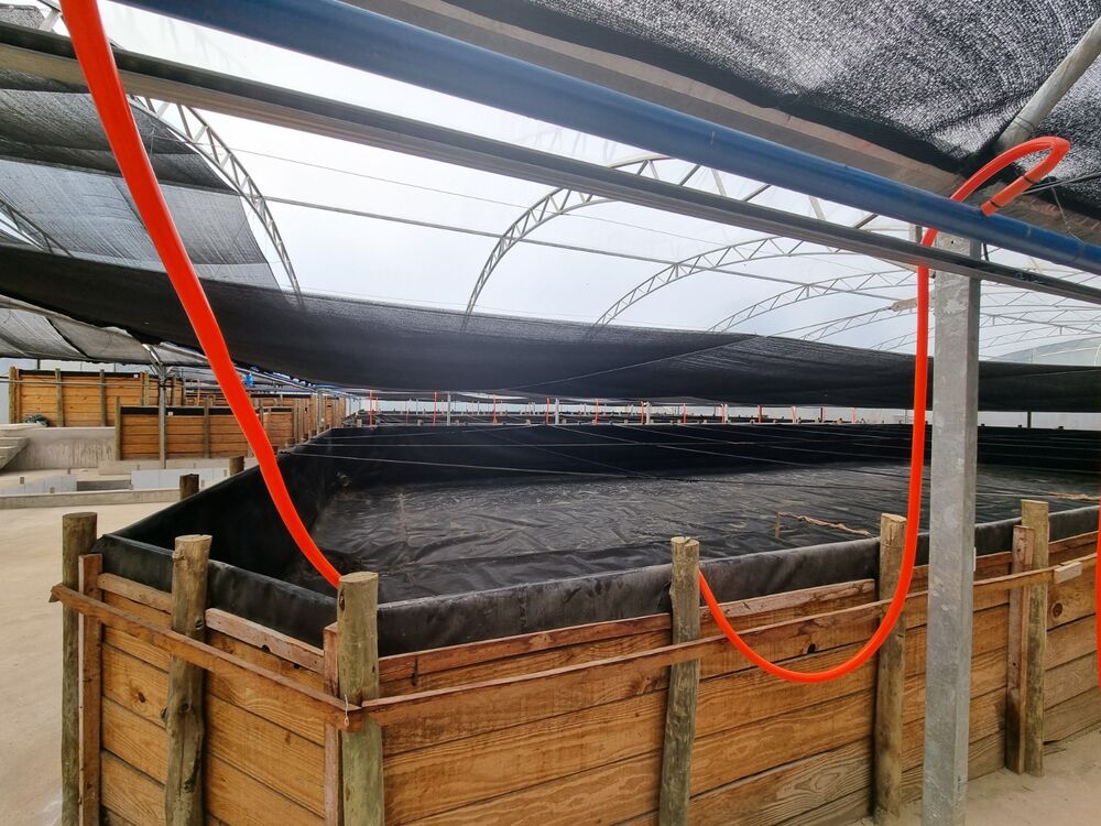 Chácara, 3 quartos, 2500 m² - Foto 2