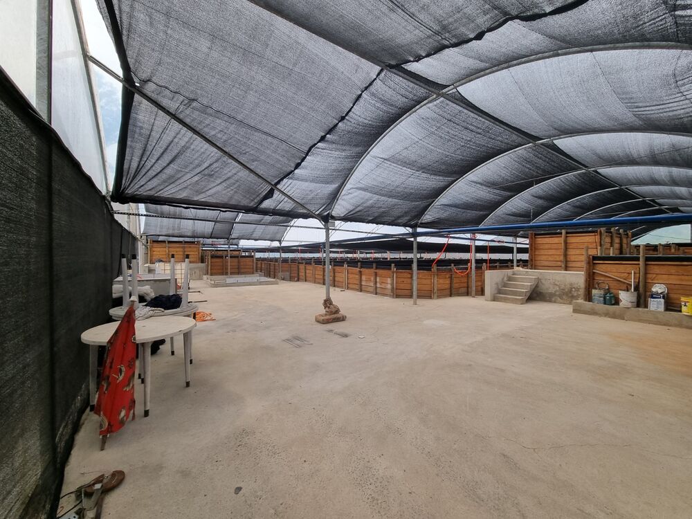 Chácara, 3 quartos, 2500 m² - Foto 3