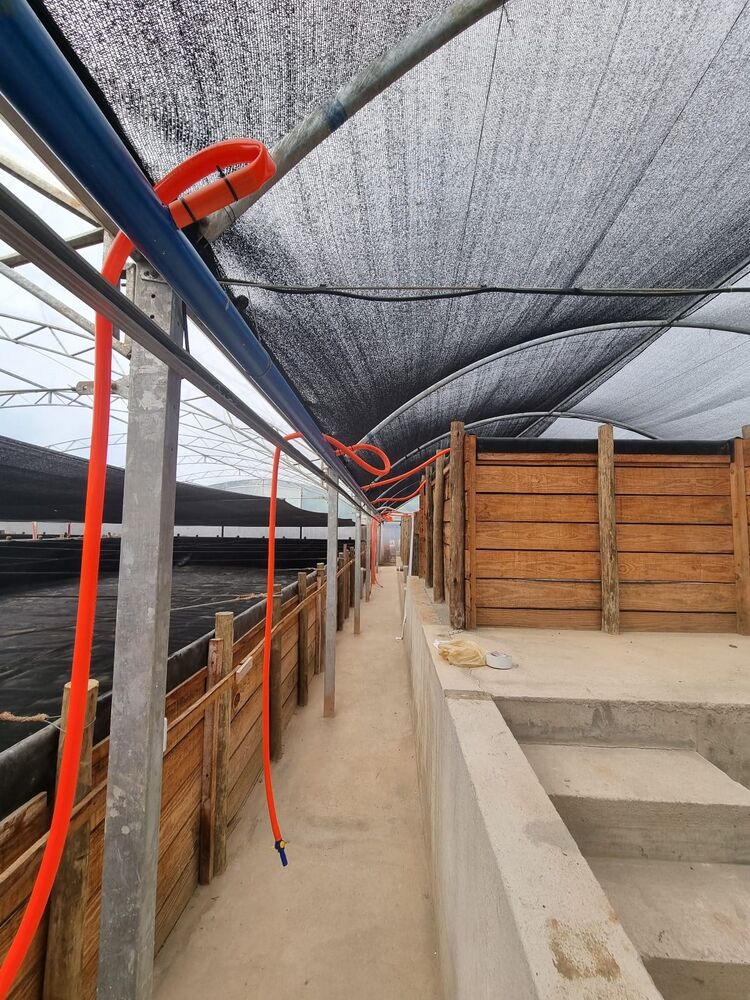Chácara, 3 quartos, 2500 m² - Foto 5