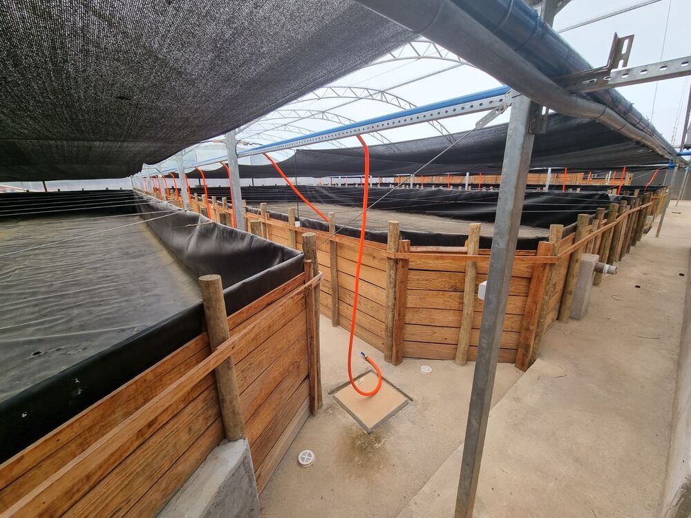Chácara, 3 quartos, 2500 m² - Foto 8