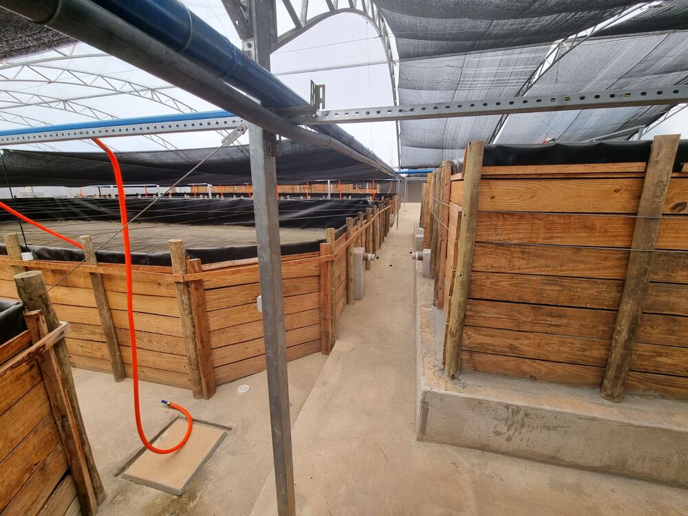 Chácara, 3 quartos, 2500 m² - Foto 9