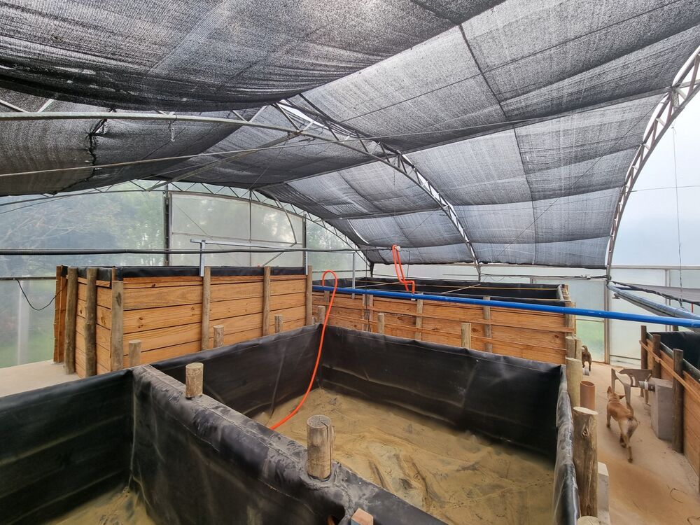 Chácara, 3 quartos, 2500 m² - Foto 10