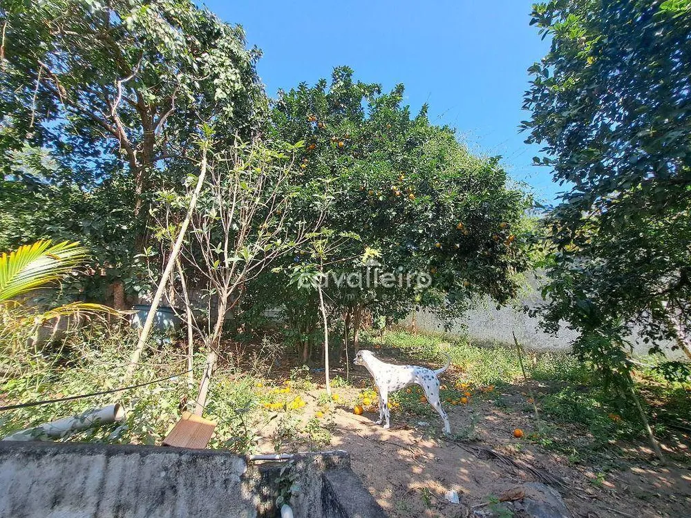 Casa, 3 quartos, 121 m² - Foto 25