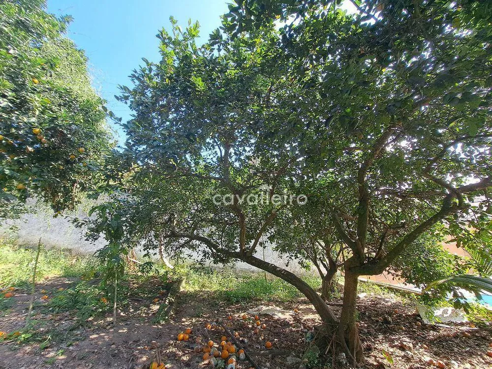 Casa, 3 quartos, 121 m² - Foto 27