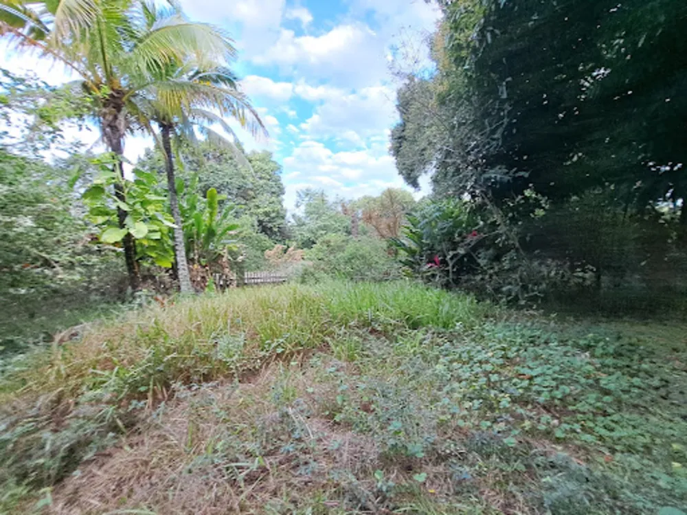 Casa, 1 quarto, 150 m² - Foto 3