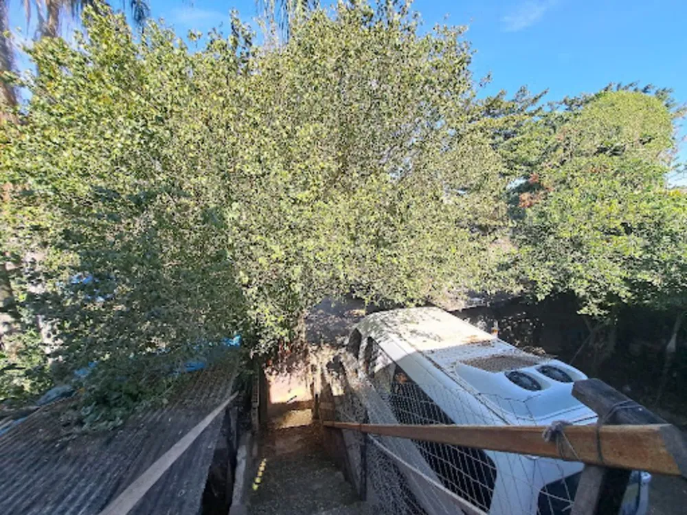 Terreno, 360 m² - Foto 5