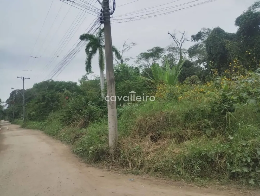 Terreno, 3 hectares - Foto 1