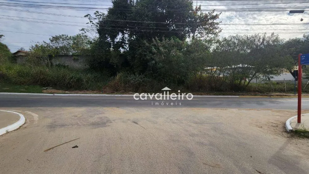 Terreno, 4308 m² - Foto 4