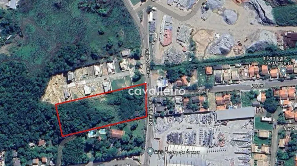 Terreno, 4308 m² - Foto 3