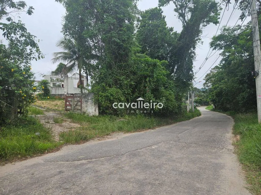 Terreno, 2 hectares - Foto 9